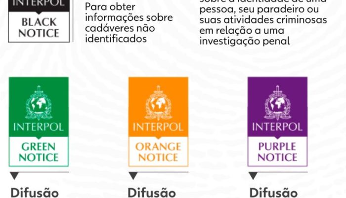20240723-interpol.jpg
